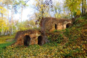 Дворец Тарновских, Качановка
